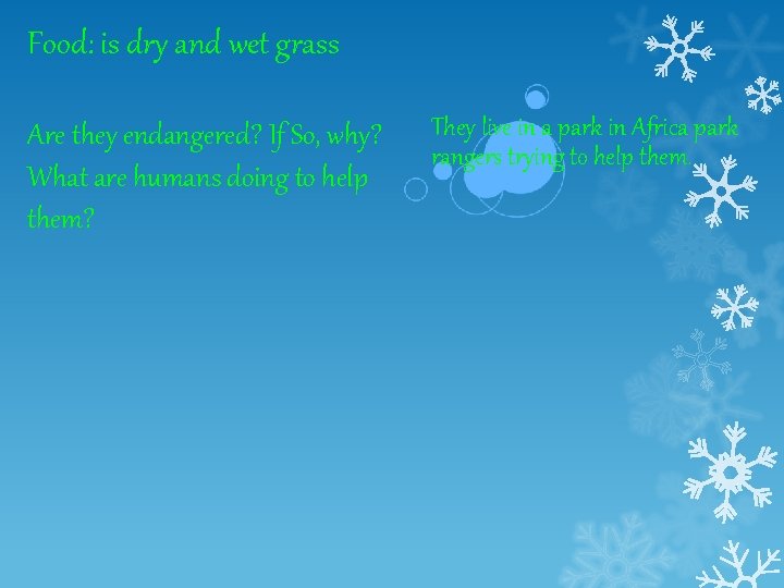 Food: is dry and wet grass Are they endangered? If So, why? What are