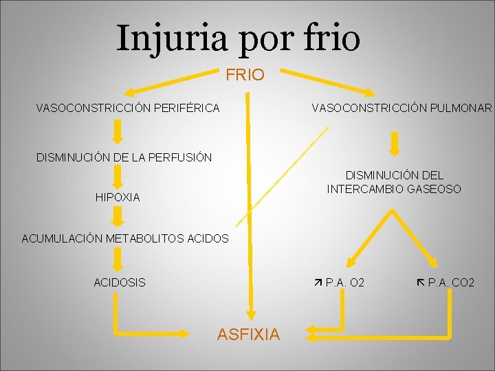 Injuria por frio FRIO VASOCONSTRICCIÓN PERIFÉRICA VASOCONSTRICCIÓN PULMONAR DISMINUCIÓN DE LA PERFUSIÓN DISMINUCIÓN DEL