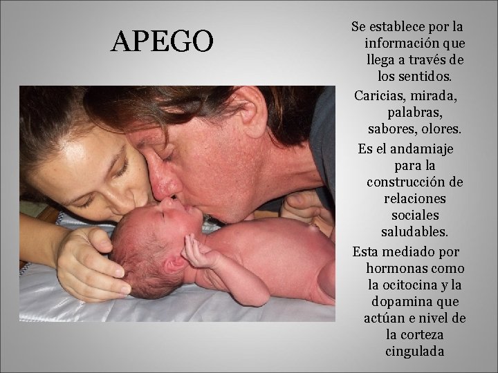 APEGO Se establece por la información que llega a través de los sentidos. Caricias,