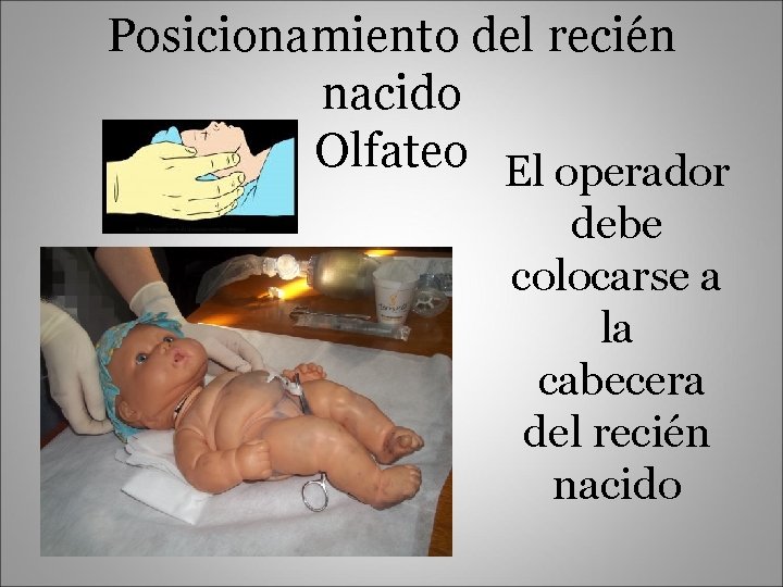 Posicionamiento del recién nacido Olfateo El operador debe colocarse a la cabecera del recién