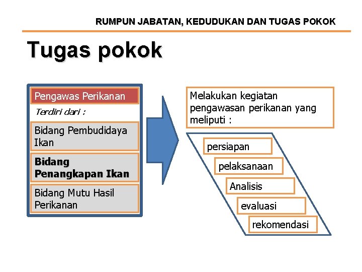 RUMPUN JABATAN, KEDUDUKAN DAN TUGAS POKOK Tugas pokok Pengawas Perikanan Terdiri dari : Bidang