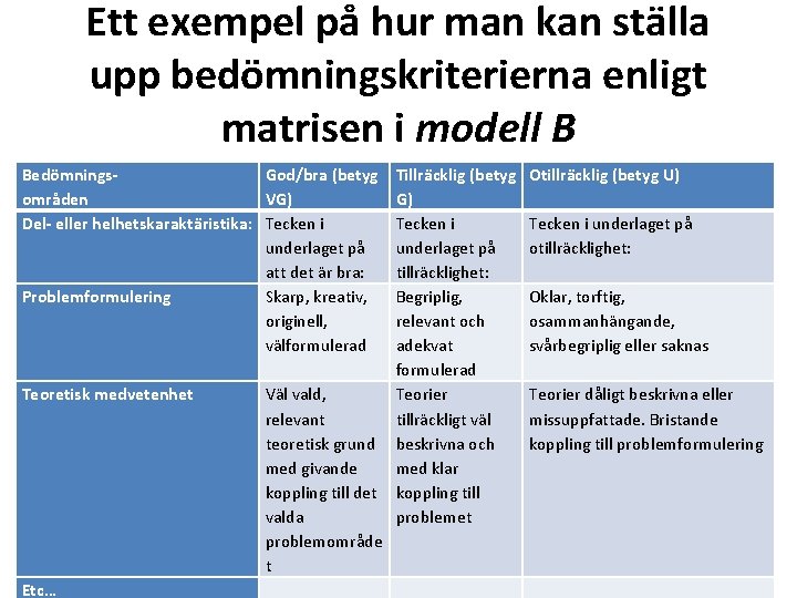 Ett exempel på hur man kan ställa upp bedömningskriterierna enligt matrisen i modell B