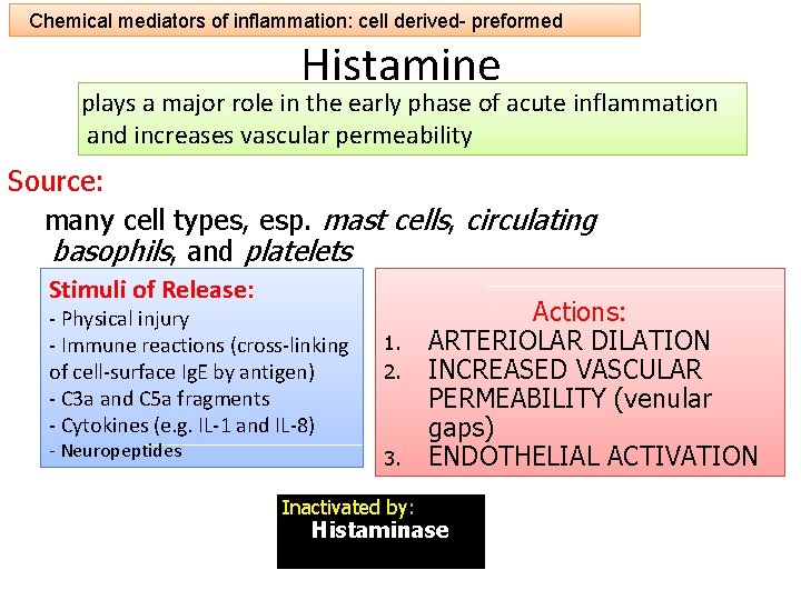 Chemical mediators of inflammation: cell derived- preformed Histamine plays a major role in the