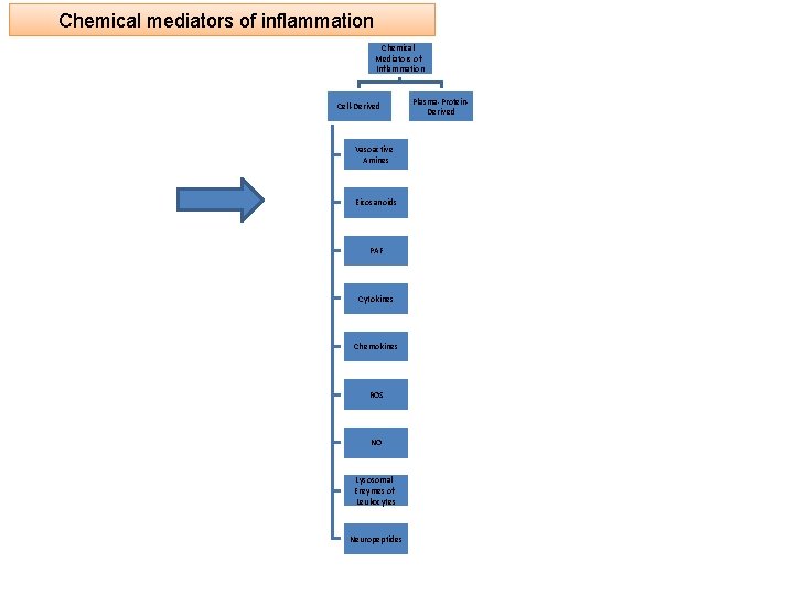Chemical mediators of inflammation Chemical Mediators of Inflammation Cell-Derived Vasoactive Amines Eicosanoids PAF Cytokines