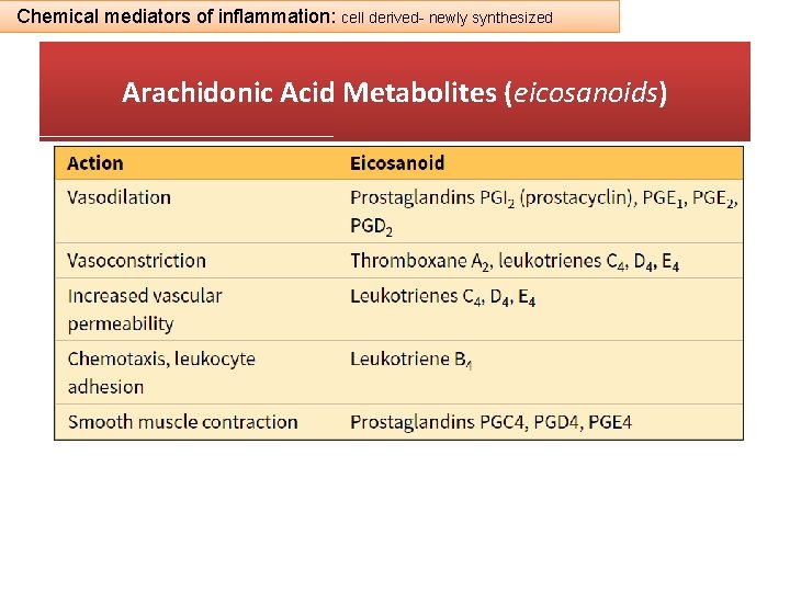Chemical mediators of inflammation: cell derived- newly synthesized Arachidonic Acid Metabolites (eicosanoids) 
