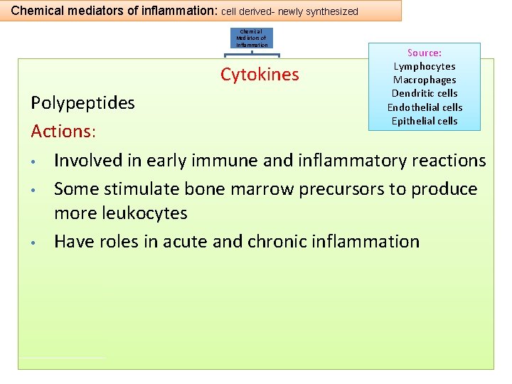 Chemical mediators of inflammation: cell derived- newly synthesized Chemical Mediators of Inflammation Cytokines Cell-Derived