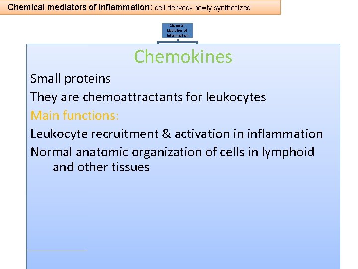 Chemical mediators of inflammation: cell derived- newly synthesized Chemical Mediators of Inflammation Chemokines Cell-Derived