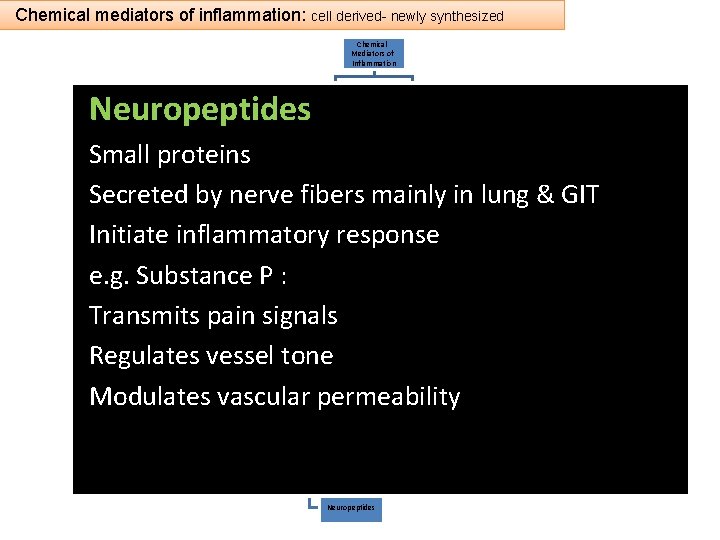 Chemical mediators of inflammation: cell derived- newly synthesized Chemical Mediators of Inflammation Neuropeptides Cell-Derived