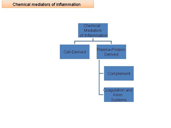 Chemical mediators of inflammation Chemical Mediators of Inflammation Cell-Derived Plasma-Protein. Derived Complement Coagulation and