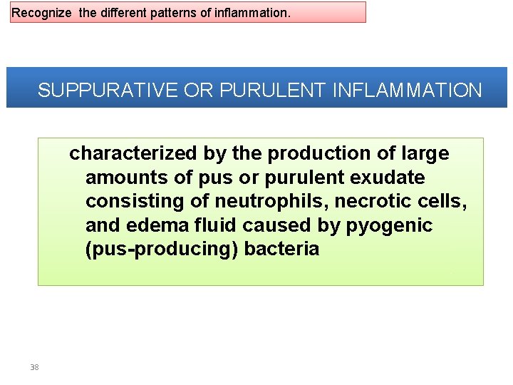 Recognize the different patterns of inflammation. SUPPURATIVE OR PURULENT INFLAMMATION characterized by the production