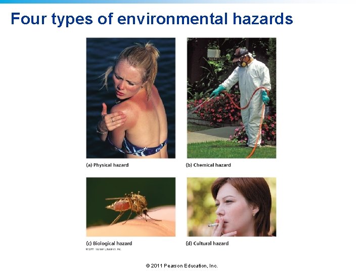 Four types of environmental hazards © 2011 Pearson Education, Inc. 