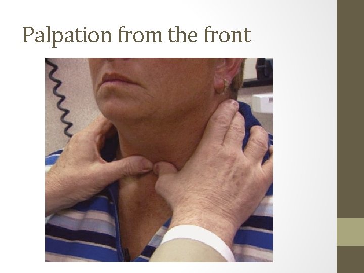 Palpation from the front 