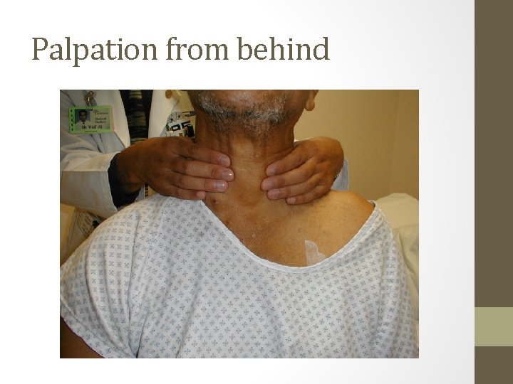 Palpation from behind 