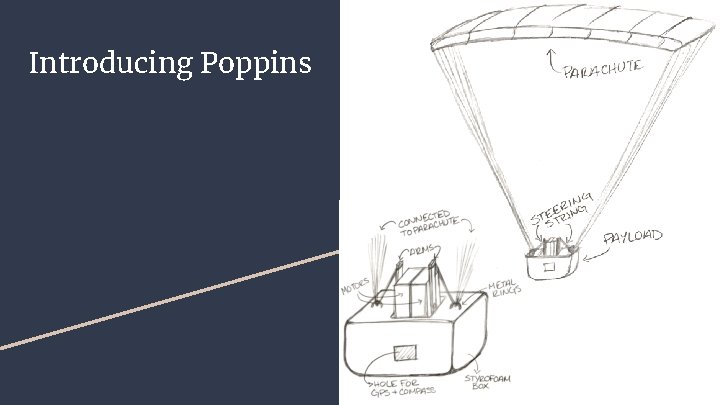 Introducing Poppins 