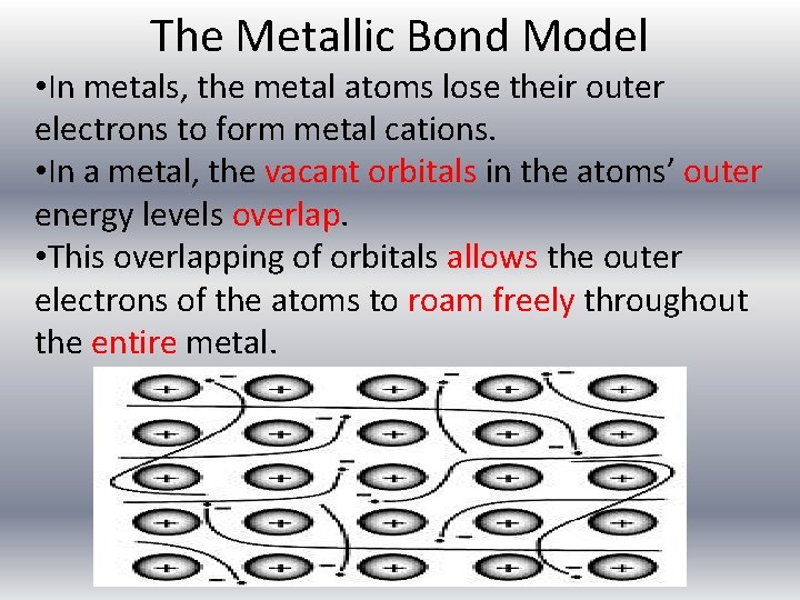 The Metallic Bond Model • In metals, the metal atoms lose their outer electrons