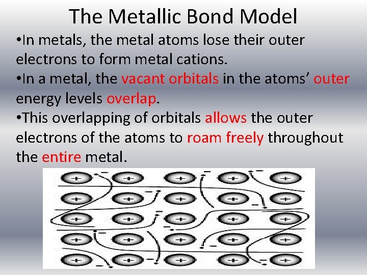 The Metallic Bond Model • In metals, the metal atoms lose their outer electrons The Metallic Bond Model • In metals, the metal atoms lose their outer electrons