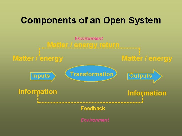 Components of an Open System Environment Matter / energy return Matter / energy Inputs
