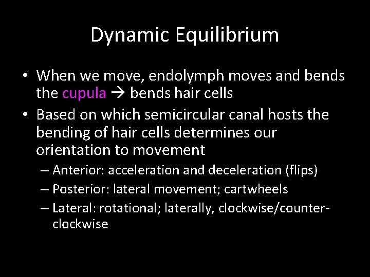 Dynamic Equilibrium • When we move, endolymph moves and bends the cupula bends hair
