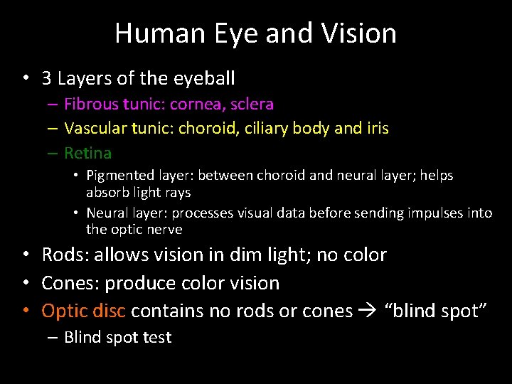 Human Eye and Vision • 3 Layers of the eyeball – Fibrous tunic: cornea,