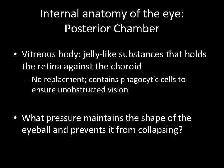 Internal anatomy of the eye: Posterior Chamber • Vitreous body: jelly-like substances that holds