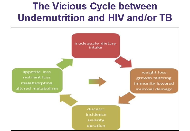 The Vicious Cycle between Undernutrition and HIV and/or TB 