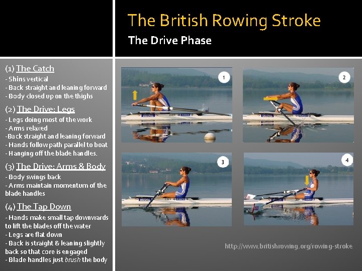 The British Rowing Stroke The Drive Phase (1) The Catch - Shins vertical -