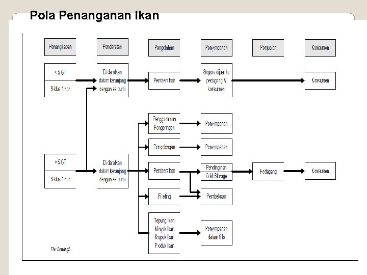 Pola Penanganan Ikan 