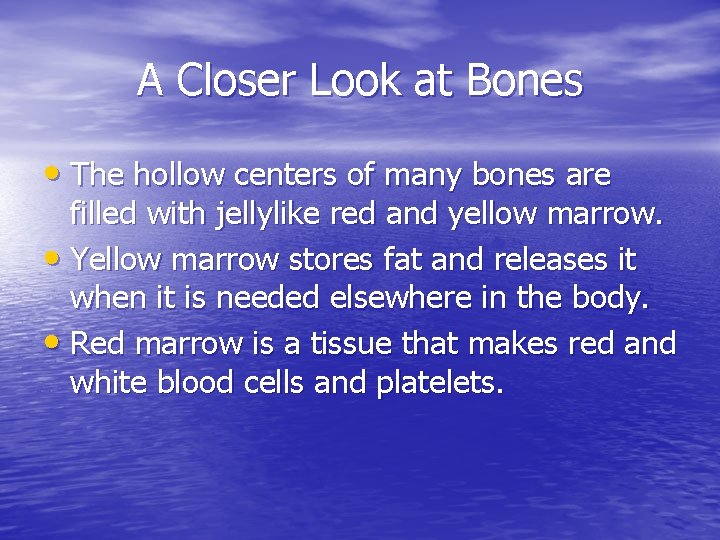 Your Skeletal System Bones Your bones are part