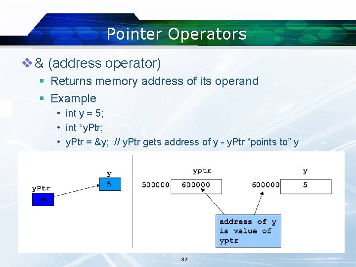Pointer Operators v & (address operator) § Returns memory address of its operand §