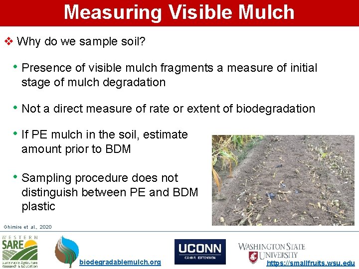 Measuring Visible Mulch v Why do we sample soil? • Presence of visible mulch