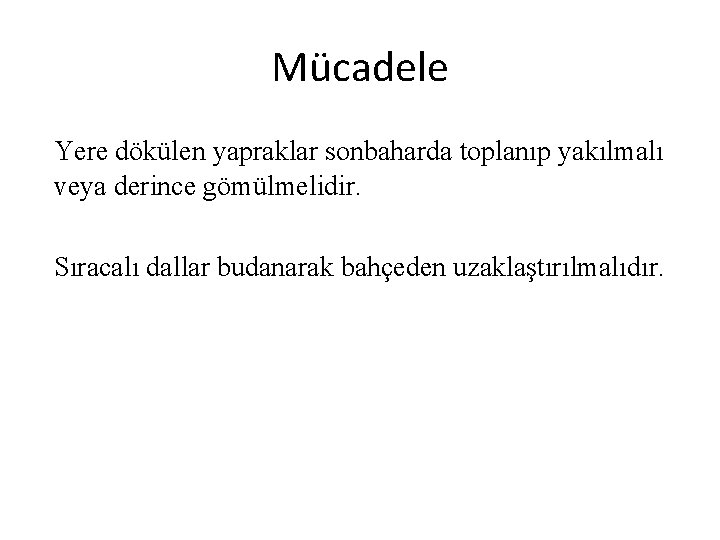 Mücadele Yere dökülen yapraklar sonbaharda toplanıp yakılmalı veya derince gömülmelidir. Sıracalı dallar budanarak bahçeden