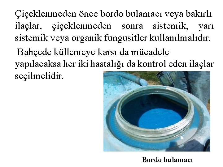 Çiçeklenmeden önce bordo bulamacı veya bakırlı ilaçlar, çiçeklenmeden sonra sistemik, yarı sistemik veya organik