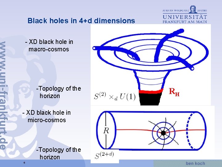 Black holes in 4+d dimensions - XD black hole in macro-cosmos -Topology of the