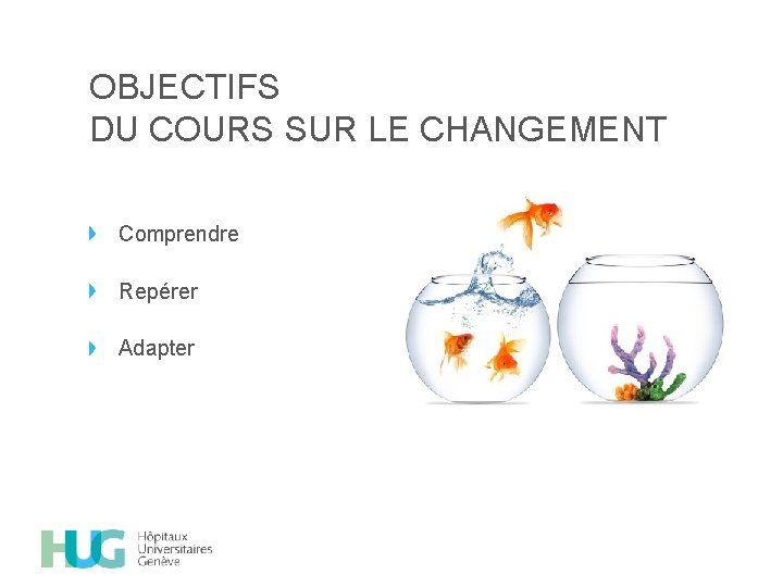 OBJECTIFS DU COURS SUR LE CHANGEMENT Comprendre Repérer Adapter 