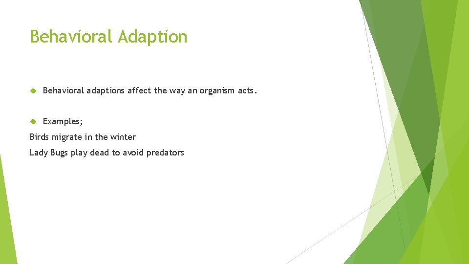 Behavioral Adaption Behavioral adaptions affect the way an organism acts. Examples; Birds migrate in