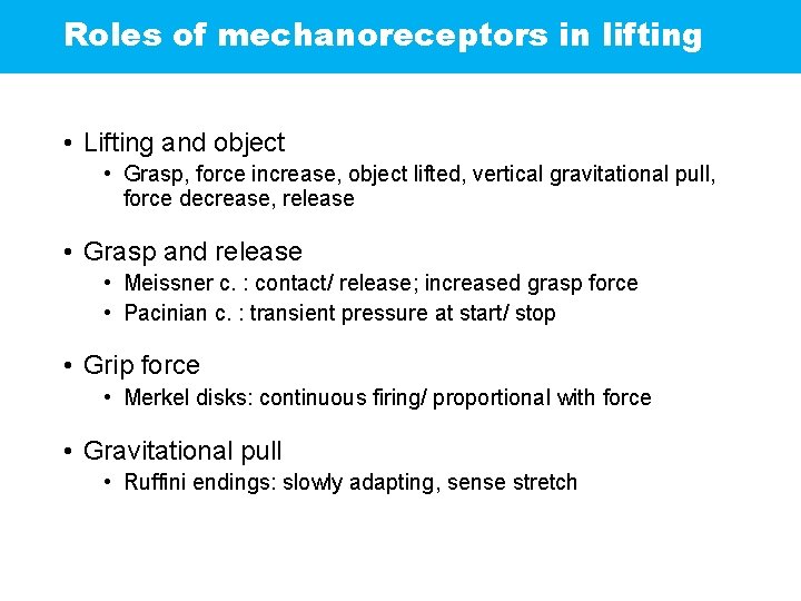 Roles of mechanoreceptors in lifting • Lifting and object • Grasp, force increase, object