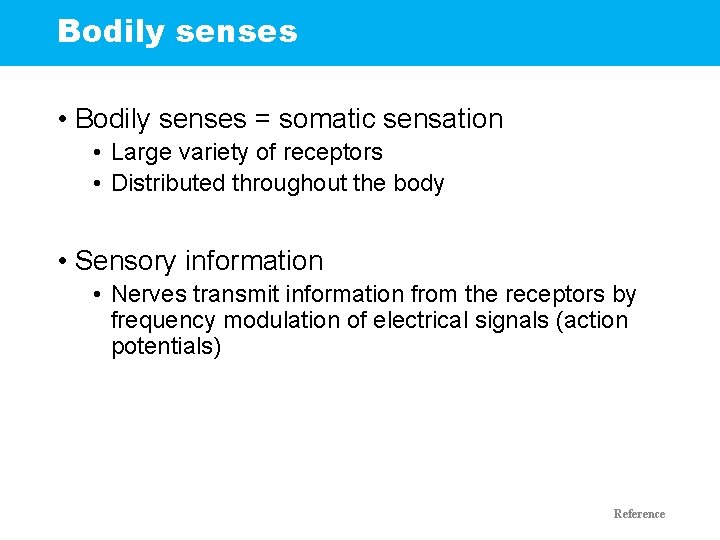 Bodily senses • Bodily senses = somatic sensation • Large variety of receptors •