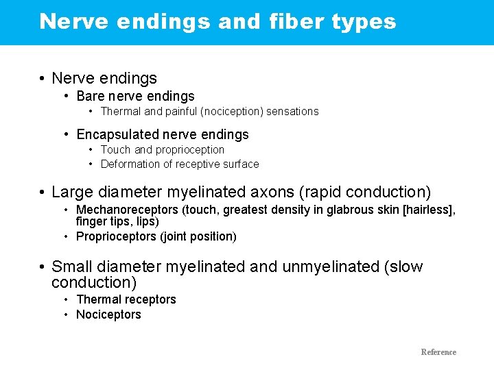 Nerve endings and fiber types • Nerve endings • Bare nerve endings • Thermal