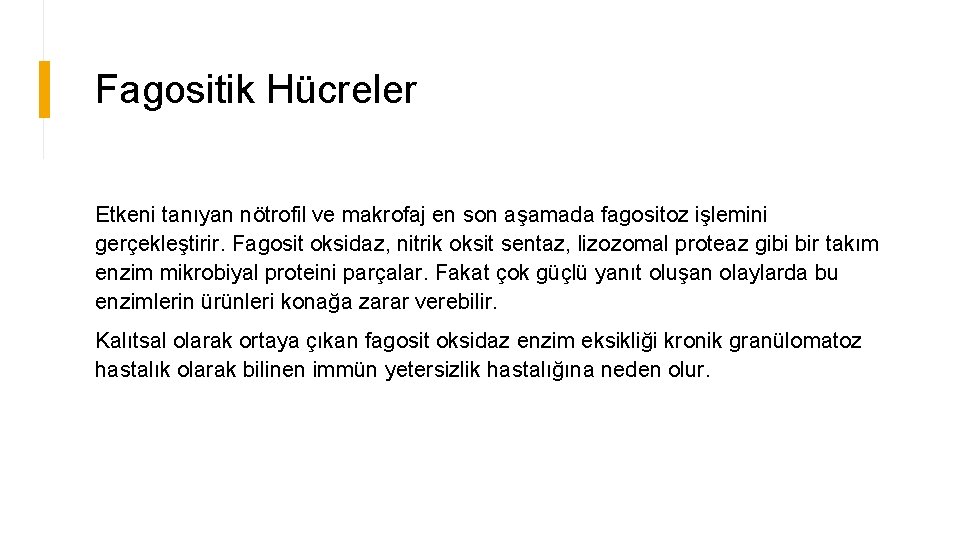 Fagositik Hücreler Etkeni tanıyan nötrofil ve makrofaj en son aşamada fagositoz işlemini gerçekleştirir. Fagosit