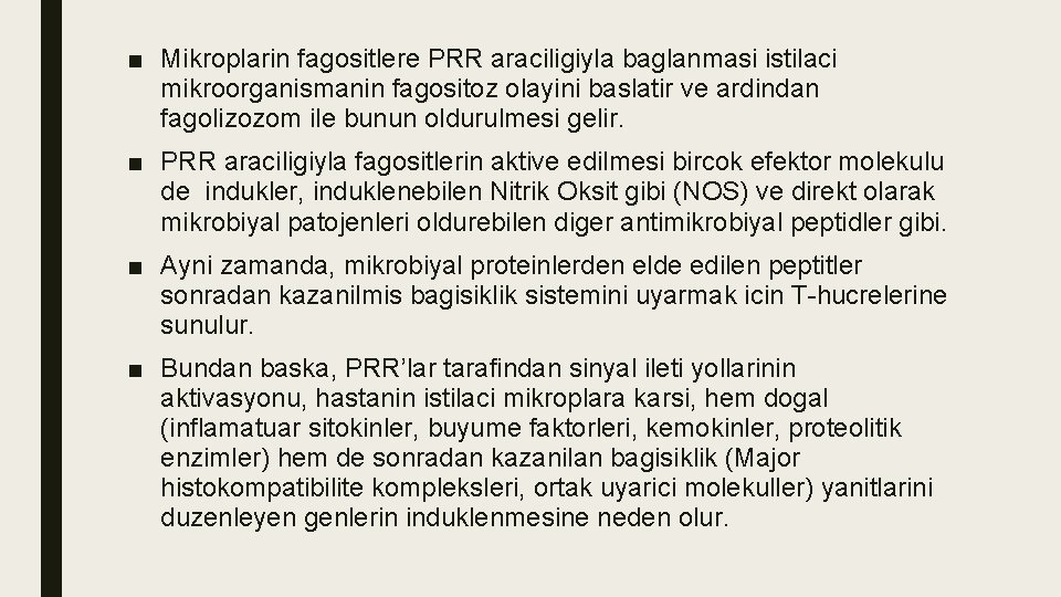 ■ Mikroplarin fagositlere PRR araciligiyla baglanmasi istilaci mikroorganismanin fagositoz olayini baslatir ve ardindan fagolizozom