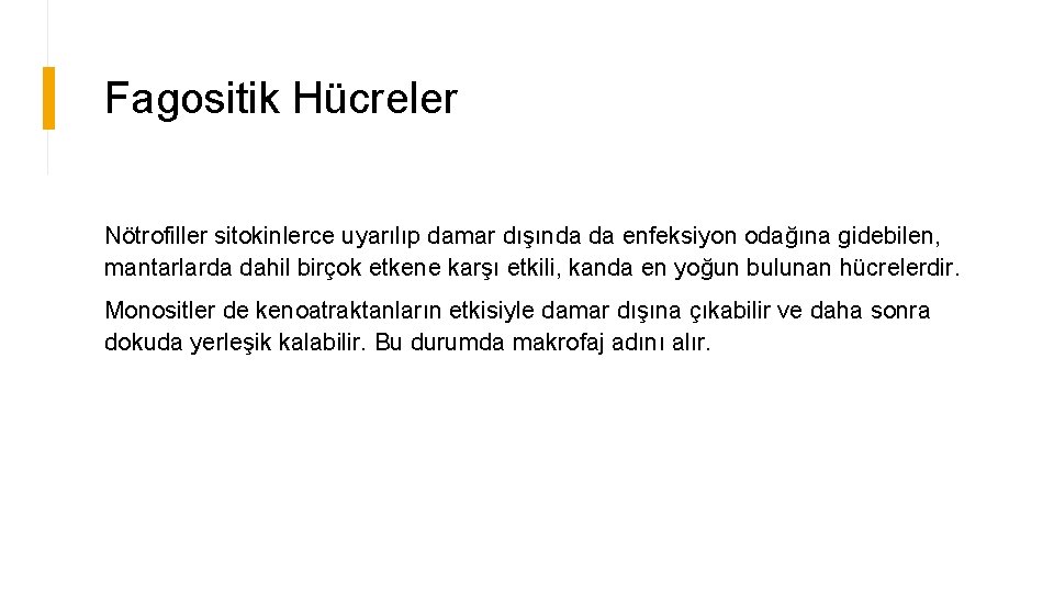 Fagositik Hücreler Nötrofiller sitokinlerce uyarılıp damar dışında da enfeksiyon odağına gidebilen, mantarlarda dahil birçok