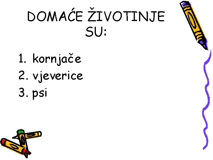 DOMAĆE ŽIVOTINJE SU: 1. kornjače 2. vjeverice 3. psi 