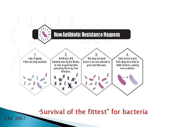 CDC 2017 “Survival of the fittest” for bacteria 
