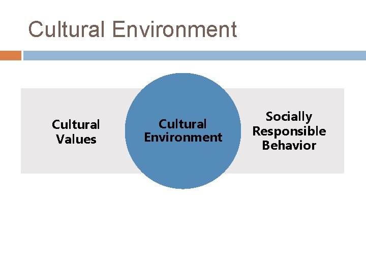 Cultural Environment Cultural Values Cultural Environment Socially Responsible Behavior 