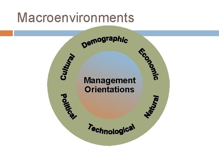 Macroenvironments Management Orientations 