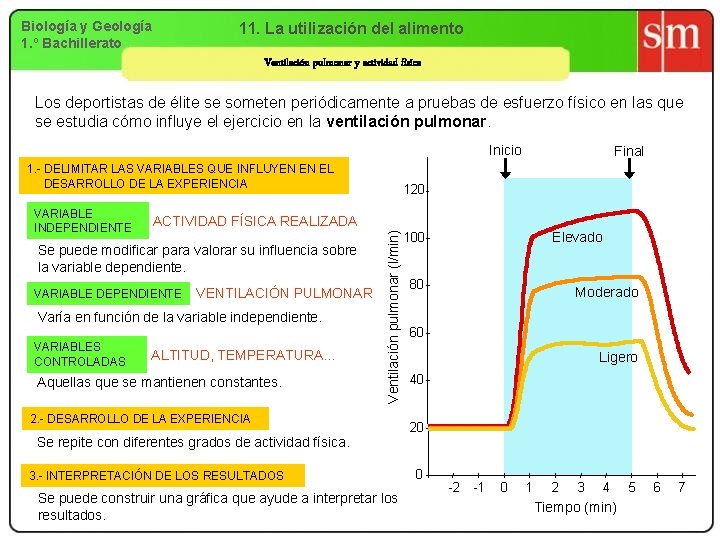 Biología y Geología 1. º Bachillerato 11. La utilización del alimento Ventilación pulmonar y