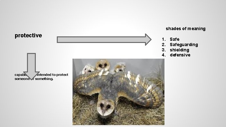 shades of meaning protective capable of or intended to protect someone or something. 1.