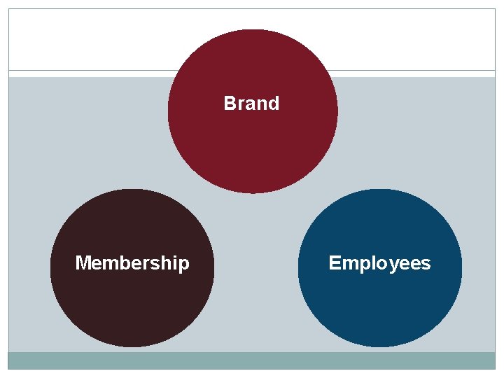 Brand Membership Employees 