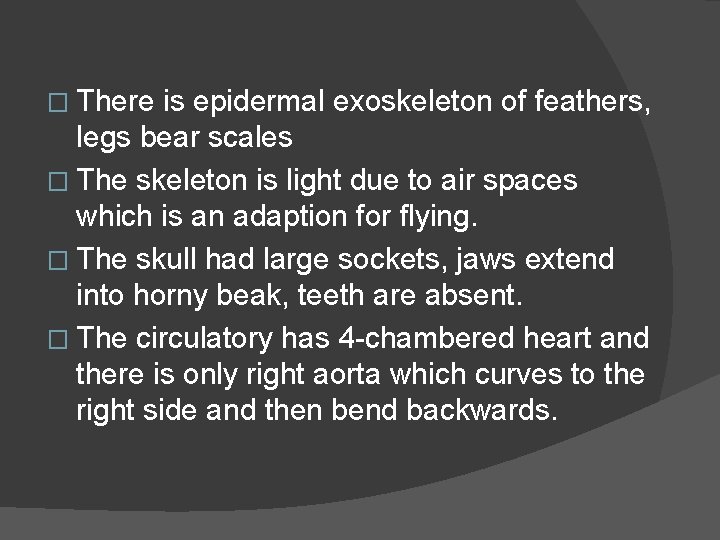 � There is epidermal exoskeleton of feathers, legs bear scales � The skeleton is