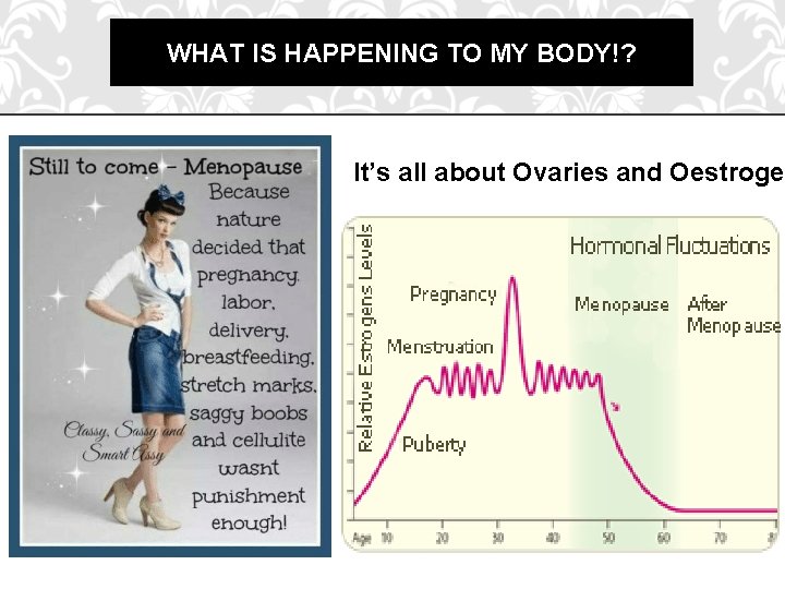 WHAT IS HAPPENING TO MY BODY!? It’s all about Ovaries and Oestrogen 